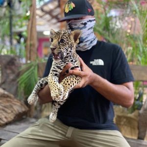 Meet your Posher, Johnny